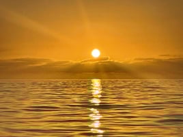 Sunset Boat Trip 🌅