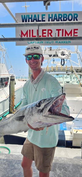 Shark / Great Barracuda 