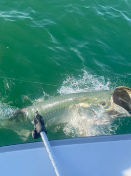 Tarpon Trip Naples to Sanibel