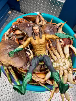 Rockfish/Lingcod Trips (Copy)