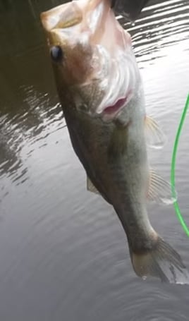 Lake And Reservoir Fishing