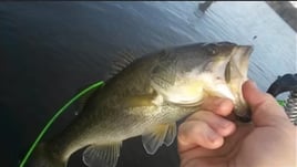 Lake And Reservoir Fishing