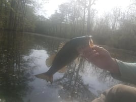 Lake And Reservoir Fishing