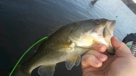 Lake And Reservoir Fishing