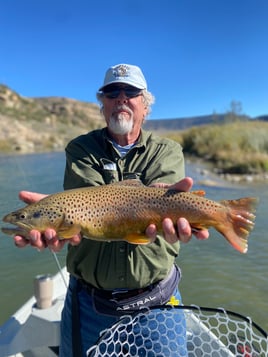 San Juan River Fly Fishing