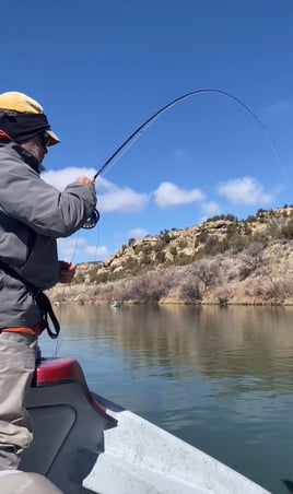 San Juan River Fly Fishing
