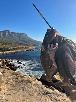 Shore Dive Spearfishing Trip