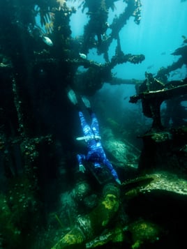 Shore Dive Spearfishing Trip