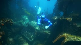 Shore Dive Spearfishing Trip