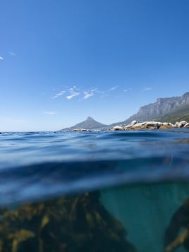 Shore Dive Spearfishing Trip