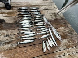 Nearshore Fishing Trip