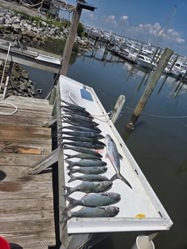 Nearshore Fishing Trip