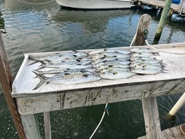 Nearshore Fishing Trip