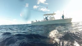 Blue Water Adventure