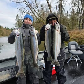 Winter Cowlitz River Steelhead