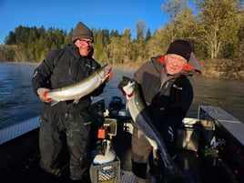 Winter Cowlitz River Steelhead