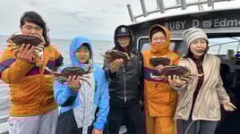 Beautiful Puget Sound Salmon (Copy)