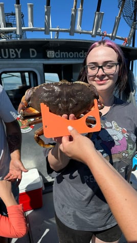 Beautiful Puget Sound Salmon (Copy)