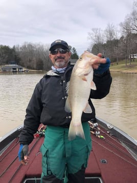 Lake Fishing Trip