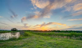 Hog Hunt Close To Houston