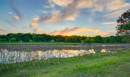 Hog Hunt Close To Houston