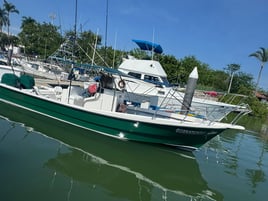 Offshore Fishing Trip - 29' Panga