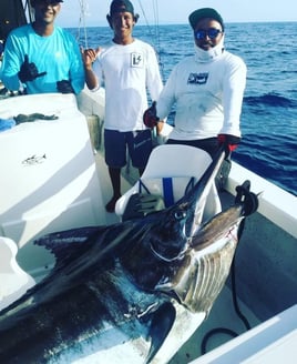 4 Hours Inshore (Copy)