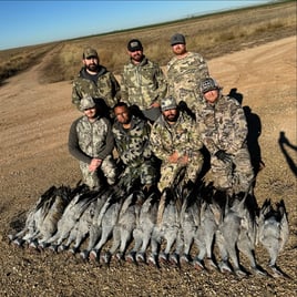 West Texas Crane Hunt