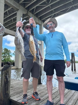 3-5 Hour Inshore/Nearshore