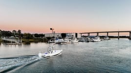 Dolphin Tour- 2-4 Hours