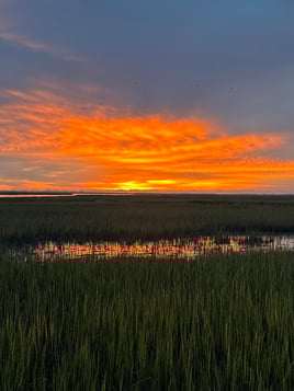 Sunrise Or Sunset Cruise- 2 Hours