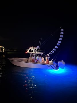 Offshore Fishing Trip