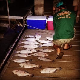 Gigging Fishing Trip