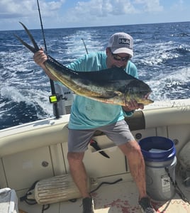 Offshore Trolling/Bottom Fishing