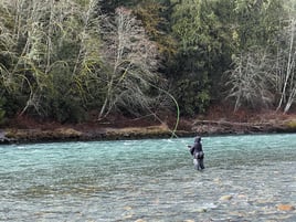 Salmon And Steelhead Guided Trips