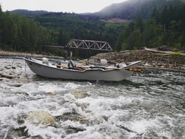 Salmon And Steelhead Guided Trips
