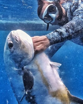 Spearfishing Playa Del Carmen