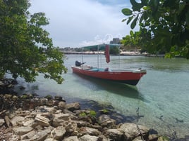 Spearfishing Playa Del Carmen