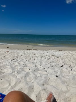 DOLPHINS SUNSETS BACKWATERS FUN