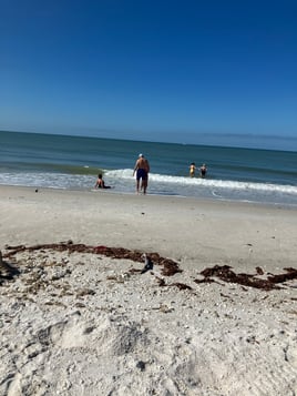 DOLPHINS SUNSETS BACKWATERS FUN