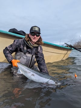 Steelhead Fishing Trip