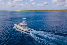 Fishing Charter, Puerto Aventuras