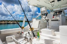 Fishing Charter, Puerto Aventuras