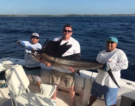 Fishing Charter, Puerto Aventuras