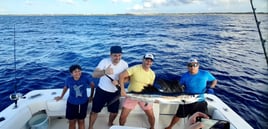 Fishing Charter, Puerto Aventuras