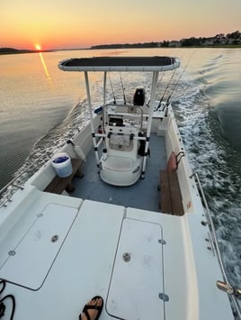 Guaranteed Dolphin Tour