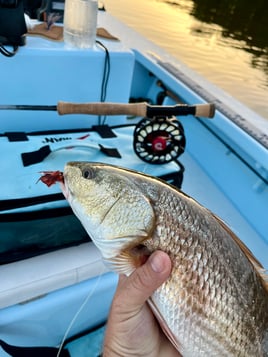 Freeman’s Fly Guy Charters 