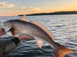Freeman’s Fly Guy Charters 