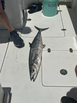 Catching Fish And Having Fun