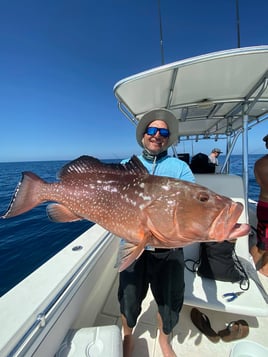 Offshore Fishing Trip